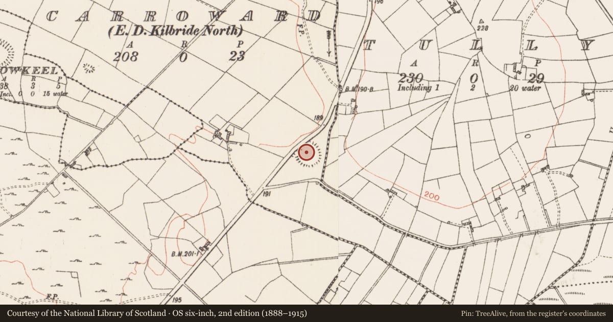 Ordnance Survey six-inch map, 2nd edition (1888–1915) covering the location of Ringfort - rath, Carroward, County Roscommon, with a pin at the register's coordinates