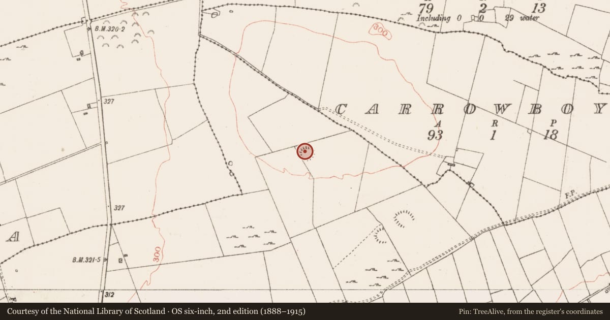 Ordnance Survey six-inch map, 2nd edition (1888–1915) covering the location of Ringfort - rath, Carrownalassan, County Roscommon, with a pin at the register's coordinates