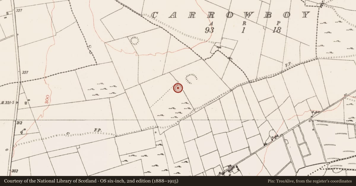 Ordnance Survey six-inch map, 2nd edition (1888–1915) covering the location of Ringfort - rath, Carrownalassan, County Roscommon, with a pin at the register's coordinates