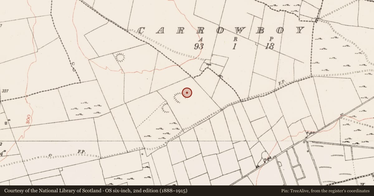 Ordnance Survey six-inch map, 2nd edition (1888–1915) covering the location of Enclosure, Carrownalassan, County Roscommon, with a pin at the register's coordinates