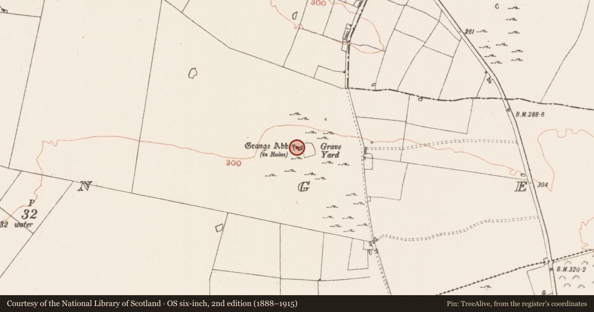 Ordnance Survey six-inch map, 2nd edition (1888–1915) covering the location of Church, Grange, County Roscommon, with a pin at the register's coordinates