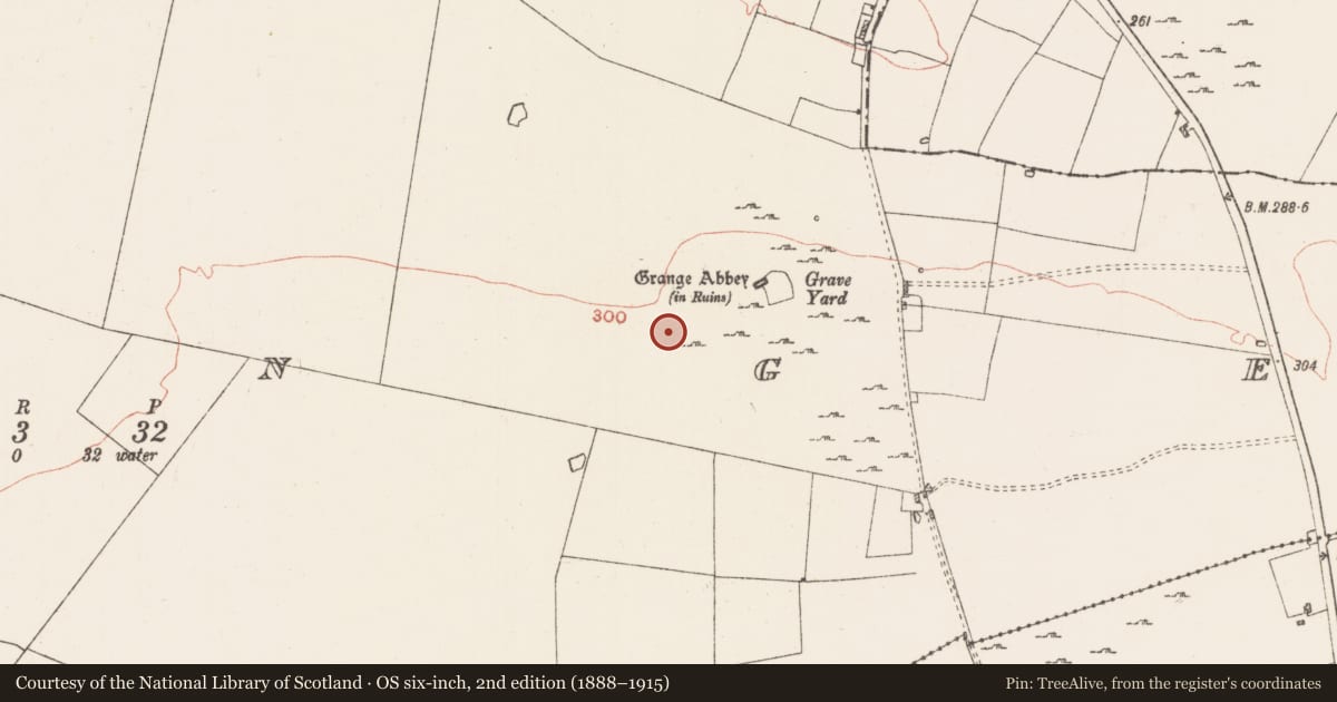 Ordnance Survey six-inch map, 2nd edition (1888–1915) covering the location of Field system, Grange, County Roscommon, with a pin at the register's coordinates