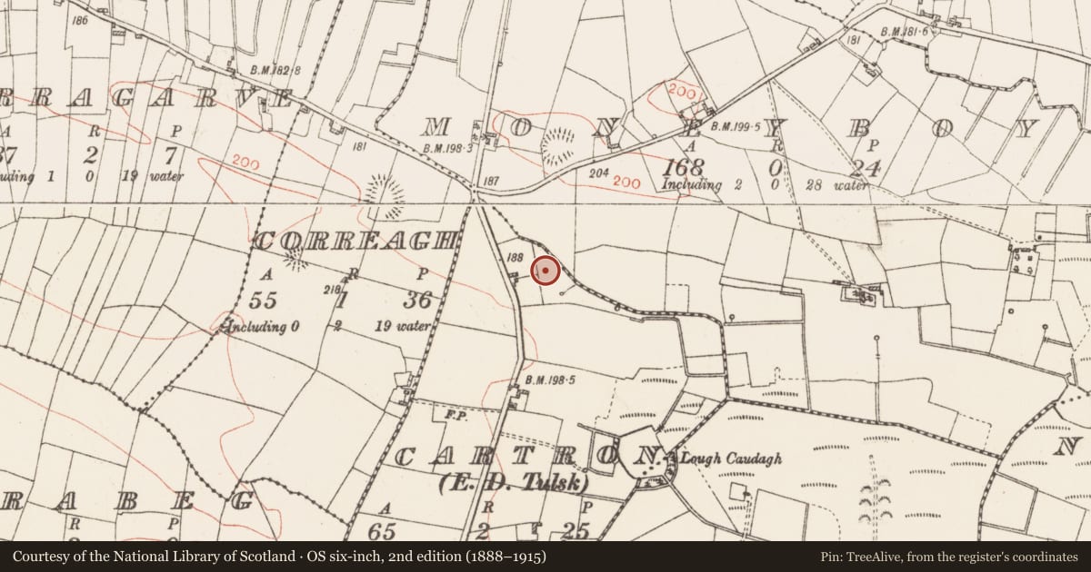 Ordnance Survey six-inch map, 2nd edition (1888–1915) covering the location of Standing stone, Cartron, County Roscommon, with a pin at the register's coordinates
