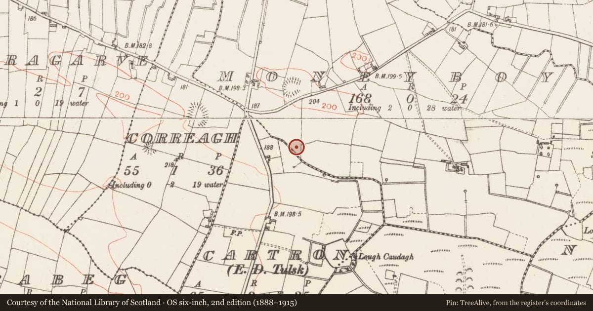Ordnance Survey six-inch map, 2nd edition (1888–1915) covering the location of Fulacht fia, Moneyboy, County Roscommon, with a pin at the register's coordinates