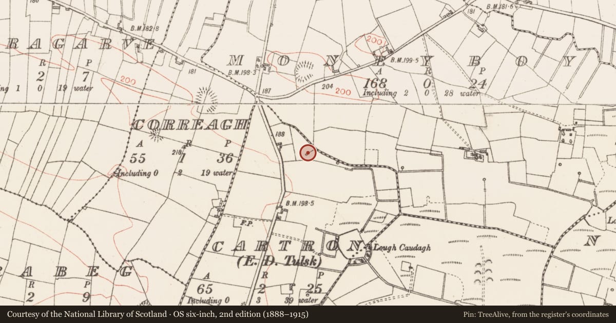 Ordnance Survey six-inch map, 2nd edition (1888–1915) covering the location of Fulacht fia, Cartron, County Roscommon, with a pin at the register's coordinates