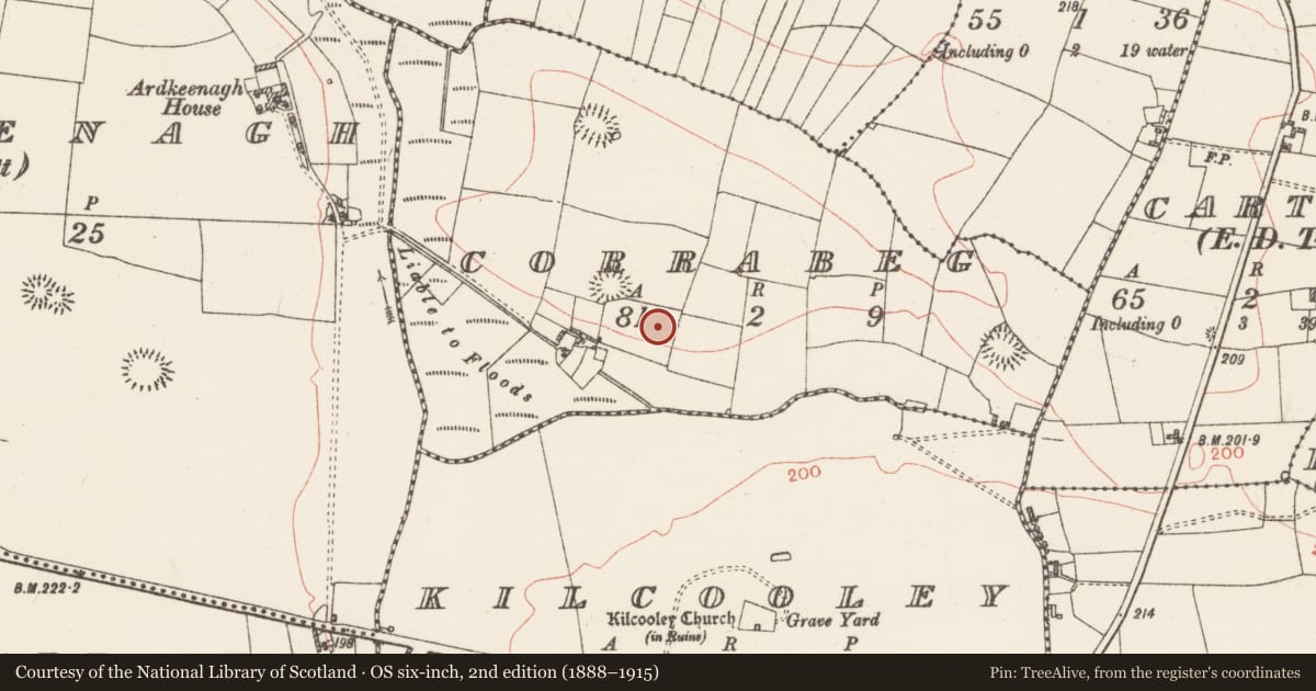 Ordnance Survey six-inch map, 2nd edition (1888–1915) covering the location of Standing stone, Corrabeg, County Roscommon, with a pin at the register's coordinates