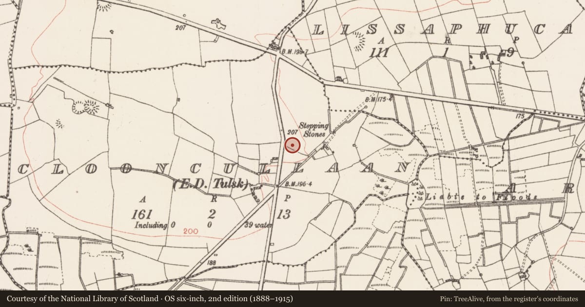 Ordnance Survey six-inch map, 2nd edition (1888–1915) covering the location of Standing stone, Clooncullaan, County Roscommon, with a pin at the register's coordinates