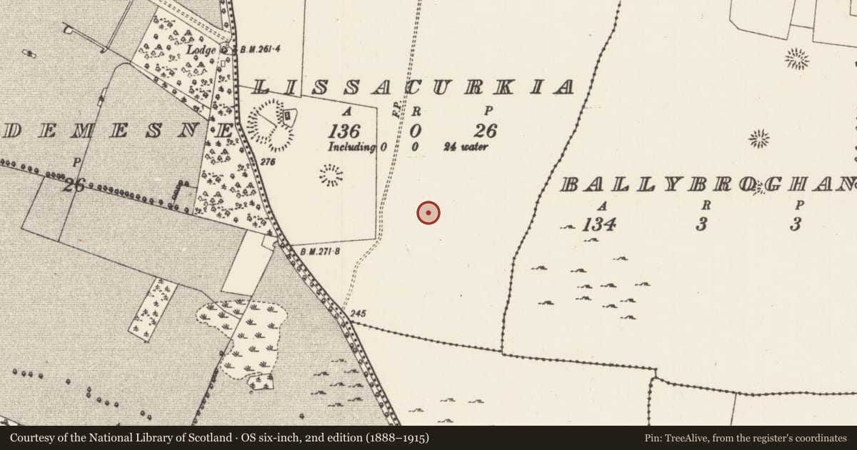 Ordnance Survey six-inch map, 2nd edition (1888–1915) covering the location of Ringfort - rath, Lissacurkia, County Roscommon, with a pin at the register's coordinates