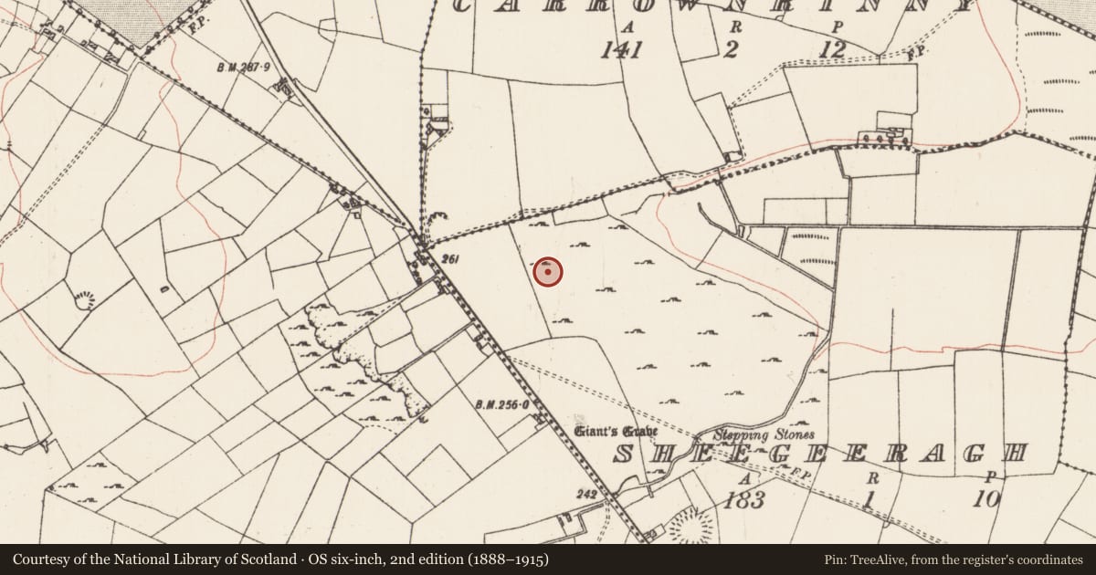 Ordnance Survey six-inch map, 2nd edition (1888–1915) covering the location of Ringfort - cashel, Sheegeeragh, County Roscommon, with a pin at the register's coordinates