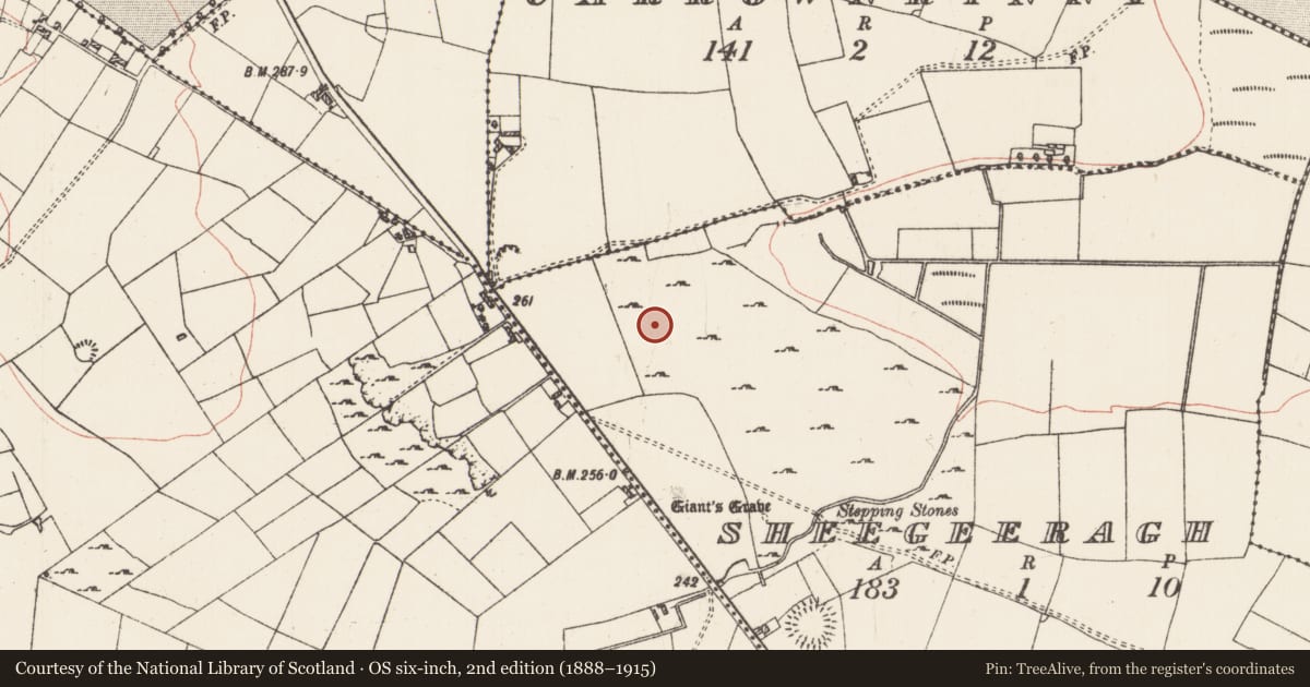 Ordnance Survey six-inch map, 2nd edition (1888–1915) covering the location of House - indeterminate date, Sheegeeragh, County Roscommon, with a pin at the register's coordinates