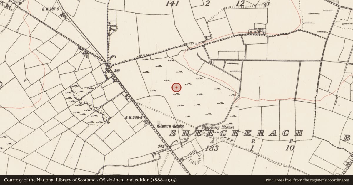 Ordnance Survey six-inch map, 2nd edition (1888–1915) covering the location of House - indeterminate date, Sheegeeragh, County Roscommon, with a pin at the register's coordinates