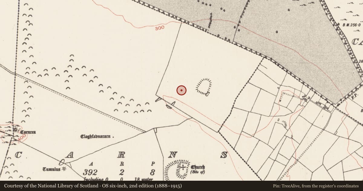 Ordnance Survey six-inch map, 2nd edition (1888–1915) covering the location of Ringfort - rath, Carns, County Roscommon, with a pin at the register's coordinates