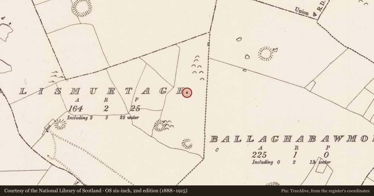 Ordnance Survey six-inch map, 2nd edition (1888–1915) covering the location of Enclosure, Lismurtagh, County Roscommon, with a pin at the register's coordinates