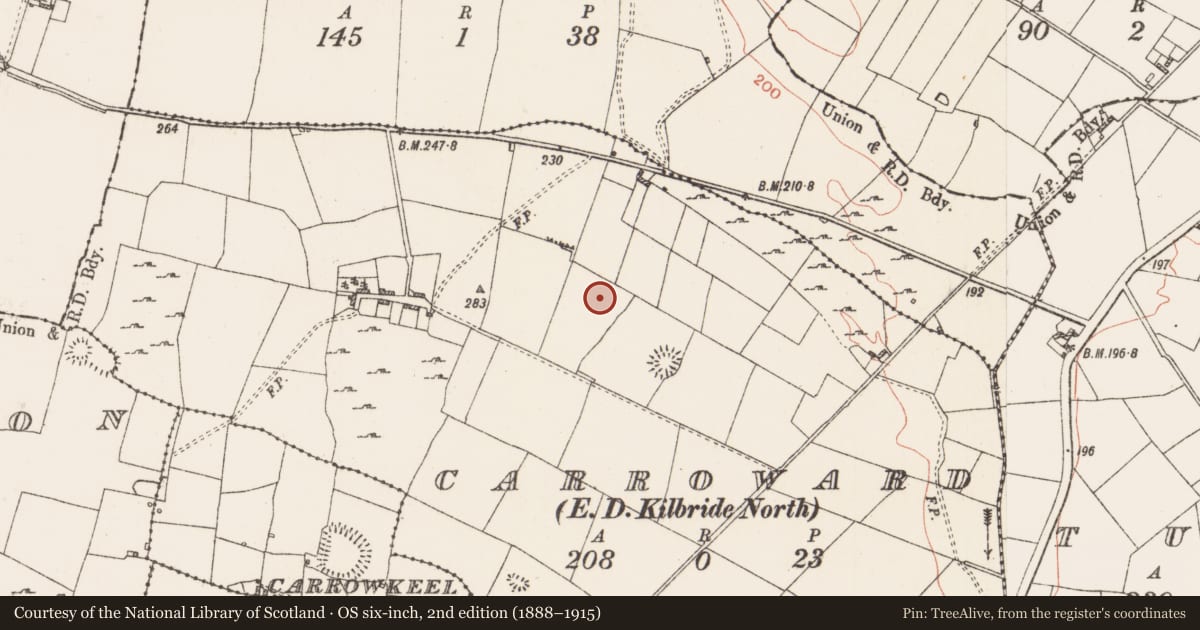 Ordnance Survey six-inch map, 2nd edition (1888–1915) covering the location of Ringfort - rath, Carroward, County Roscommon, with a pin at the register's coordinates