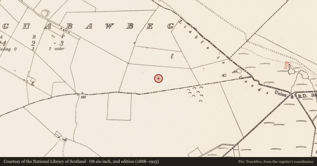 Ordnance Survey six-inch map, 2nd edition (1888–1915) covering the location of Settlement cluster, Ballaghabawbeg, County Roscommon, with a pin at the register's coordinates