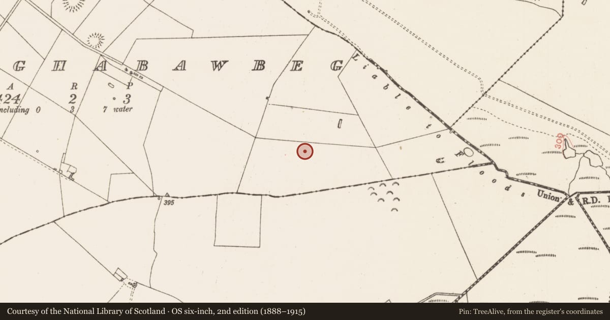 Ordnance Survey six-inch map, 2nd edition (1888–1915) covering the location of House - indeterminate date, Ballaghabawbeg, County Roscommon, with a pin at the register's coordinates