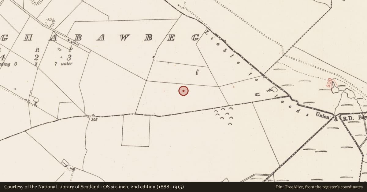 Ordnance Survey six-inch map, 2nd edition (1888–1915) covering the location of House - indeterminate date, Ballaghabawbeg, County Roscommon, with a pin at the register's coordinates