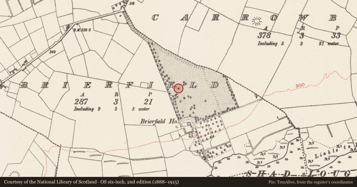 Ordnance Survey six-inch map, 2nd edition (1888–1915) covering the location of Barrow - ditch barrow, Brierfield, County Roscommon, with a pin at the register's coordinates