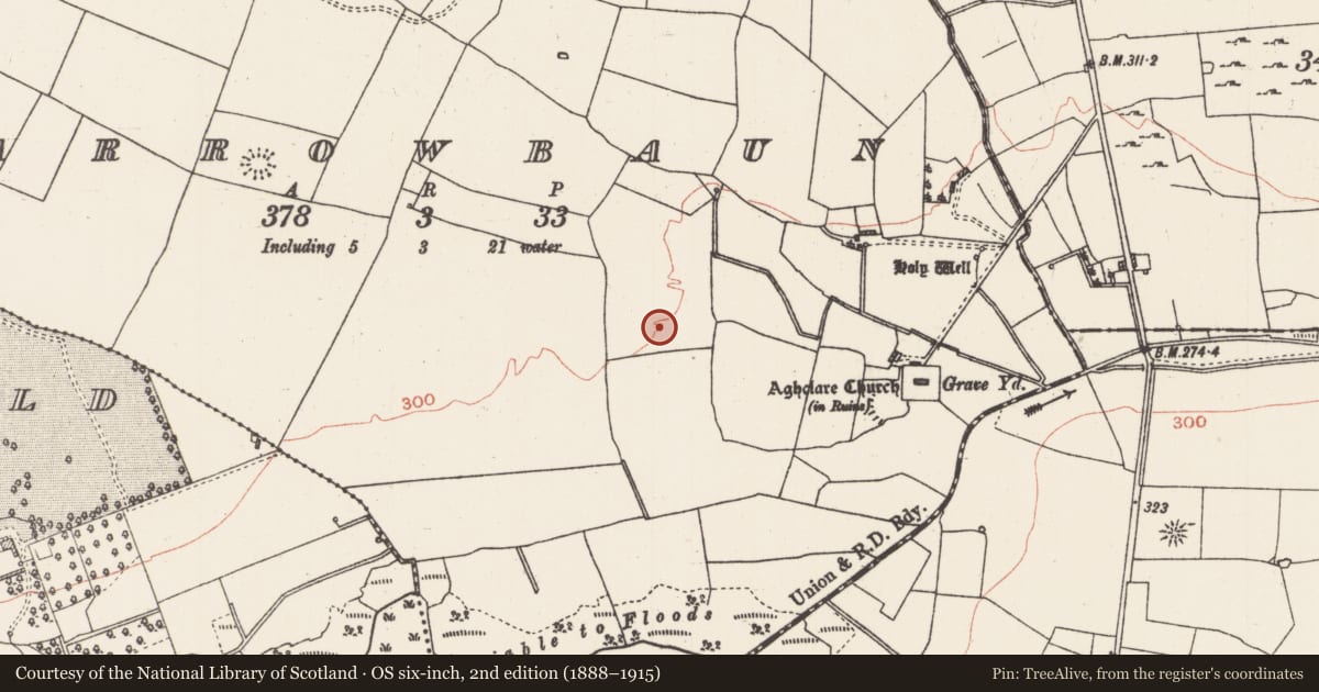 Ordnance Survey six-inch map, 2nd edition (1888–1915) covering the location of Field system, Carrowbaun, County Roscommon, with a pin at the register's coordinates