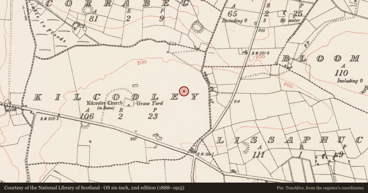 Ordnance Survey six-inch map, 2nd edition (1888–1915) covering the location of Ringfort - rath, Kilcooley, County Roscommon, with a pin at the register's coordinates