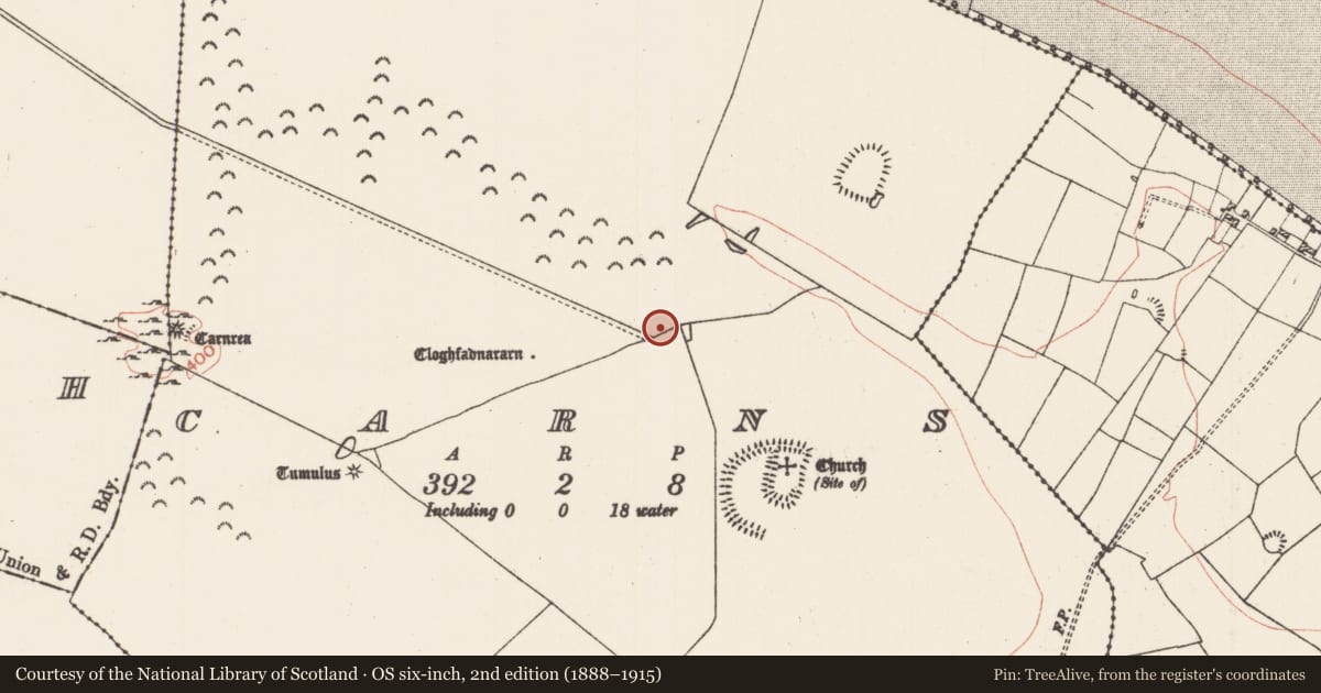 Ordnance Survey six-inch map, 2nd edition (1888–1915) covering the location of Ringfort - rath, Carns, County Roscommon, with a pin at the register's coordinates