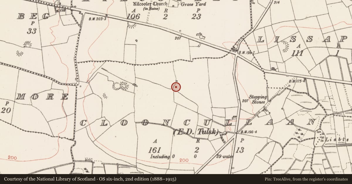 Ordnance Survey six-inch map, 2nd edition (1888–1915) covering the location of Ringfort - rath, Clooncullaan, County Roscommon, with a pin at the register's coordinates