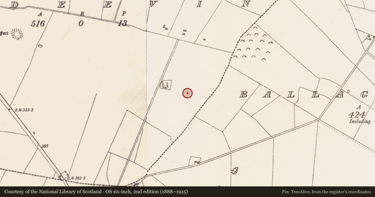 Ordnance Survey six-inch map, 2nd edition (1888–1915) covering the location of House - indeterminate date, Ardeevin, County Roscommon, with a pin at the register's coordinates