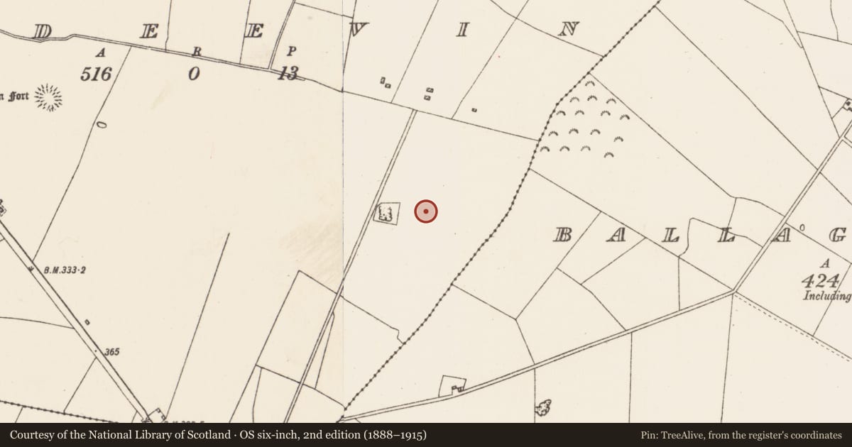 Ordnance Survey six-inch map, 2nd edition (1888–1915) covering the location of Field system, Ardeevin, County Roscommon, with a pin at the register's coordinates