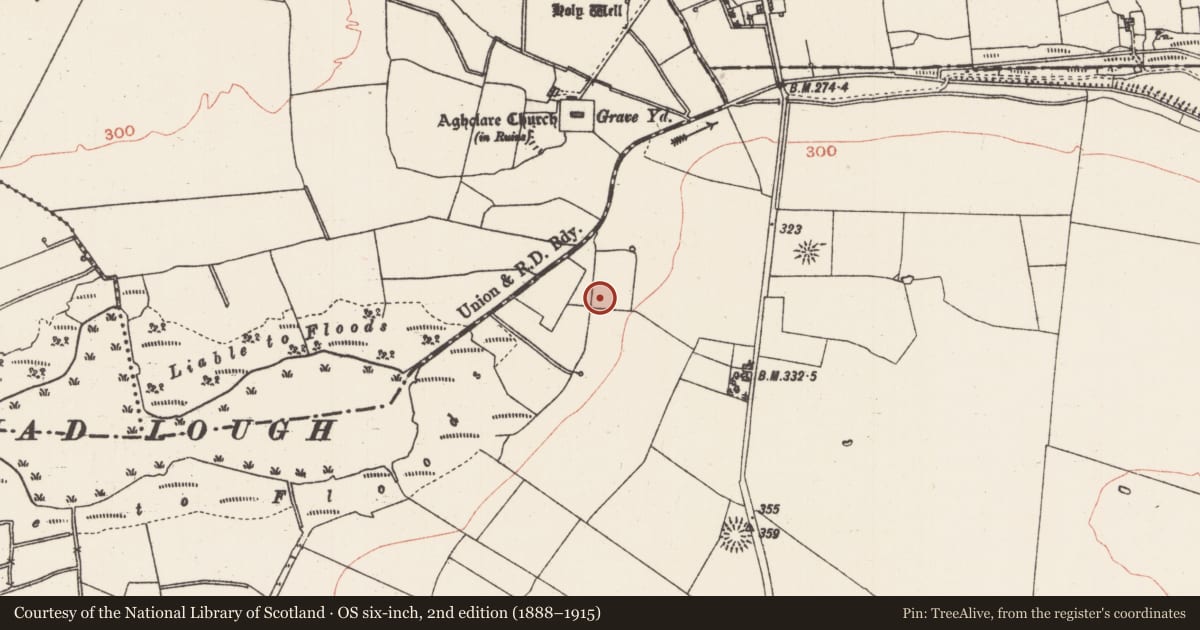 Ordnance Survey six-inch map, 2nd edition (1888–1915) covering the location of Barrow - mound barrow, Grange, County Roscommon, with a pin at the register's coordinates