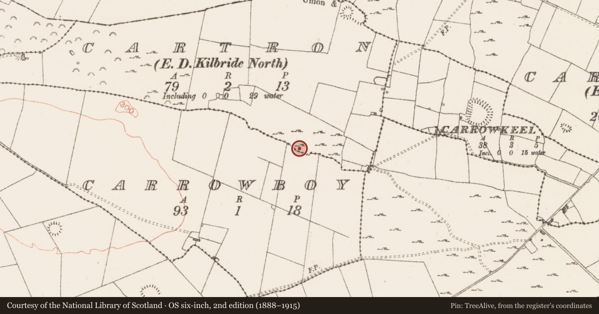 Ordnance Survey six-inch map, 2nd edition (1888–1915) covering the location of Ringfort - cashel, Carrowboy, Cartron, County Roscommon, with a pin at the register's coordinates