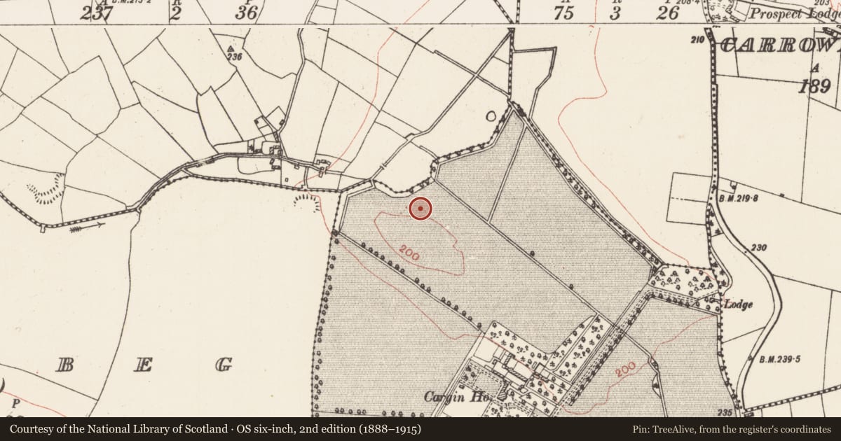 Ordnance Survey six-inch map, 2nd edition (1888–1915) covering the location of Field system, Cargin Demesne, County Roscommon, with a pin at the register's coordinates