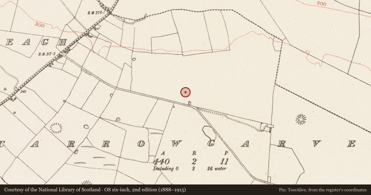 Ordnance Survey six-inch map, 2nd edition (1888–1915) covering the location of Excavation - miscellaneous, Carrowgarve, County Roscommon, with a pin at the register's coordinates
