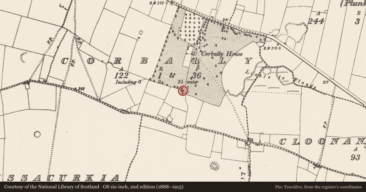 Ordnance Survey six-inch map, 2nd edition (1888–1915) covering the location of Enclosure, Corbally, County Roscommon, with a pin at the register's coordinates