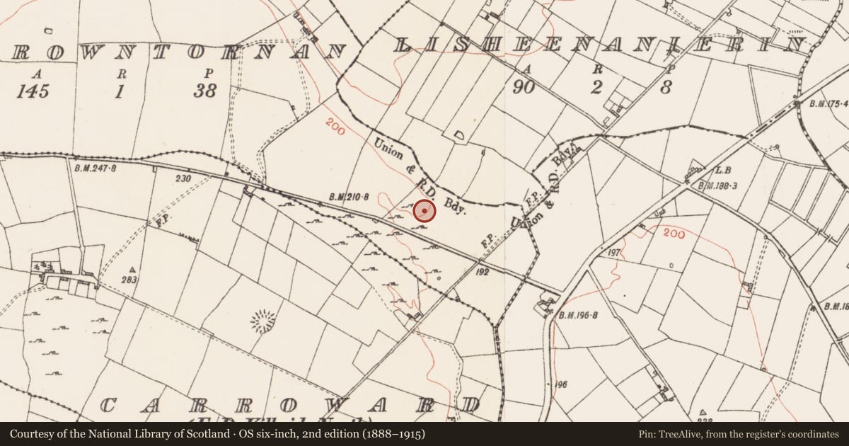 Ordnance Survey six-inch map, 2nd edition (1888–1915) covering the location of Enclosure, Carrowntornan, County Roscommon, with a pin at the register's coordinates