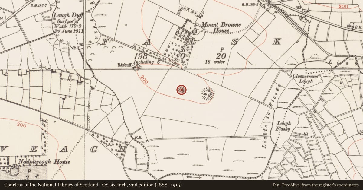 Ordnance Survey six-inch map, 2nd edition (1888–1915) covering the location of Ringfort - rath, Falsk, County Roscommon, with a pin at the register's coordinates