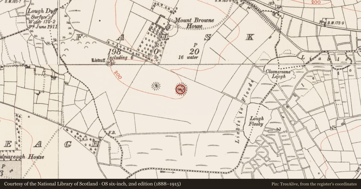 Ordnance Survey six-inch map, 2nd edition (1888–1915) covering the location of Ringfort - rath, Falsk, County Roscommon, with a pin at the register's coordinates
