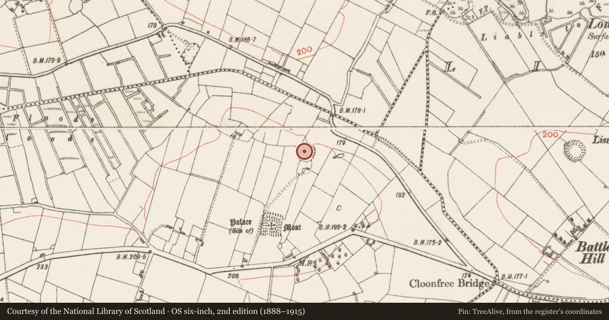 Ordnance Survey six-inch map, 2nd edition (1888–1915) covering the location of Ringfort - rath, Cloonfree, County Roscommon, with a pin at the register's coordinates