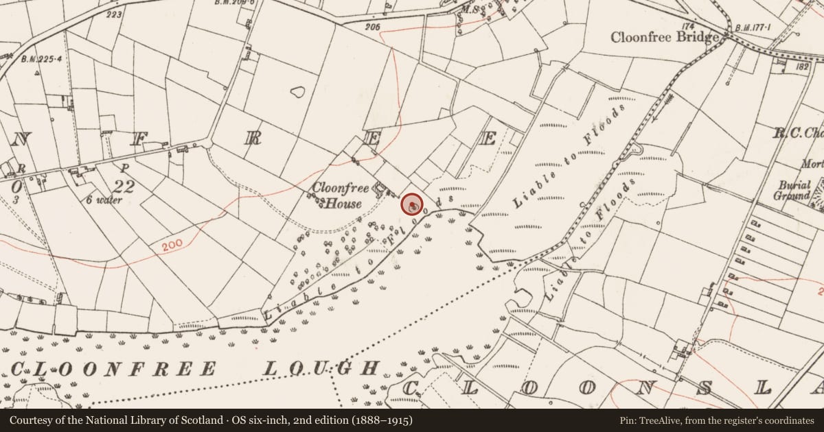 Ordnance Survey six-inch map, 2nd edition (1888–1915) covering the location of Designed landscape - tree-ring, Cloonfree, County Roscommon, with a pin at the register's coordinates