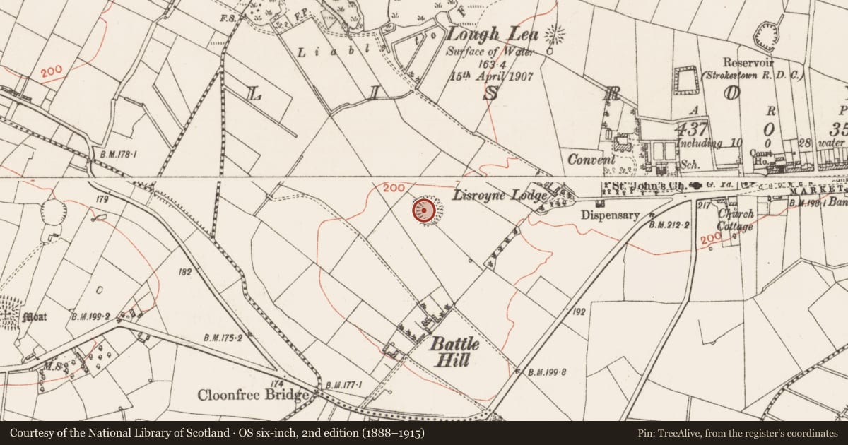 Ordnance Survey six-inch map, 2nd edition (1888–1915) covering the location of Ringfort - rath, Lisroyne, County Roscommon, with a pin at the register's coordinates