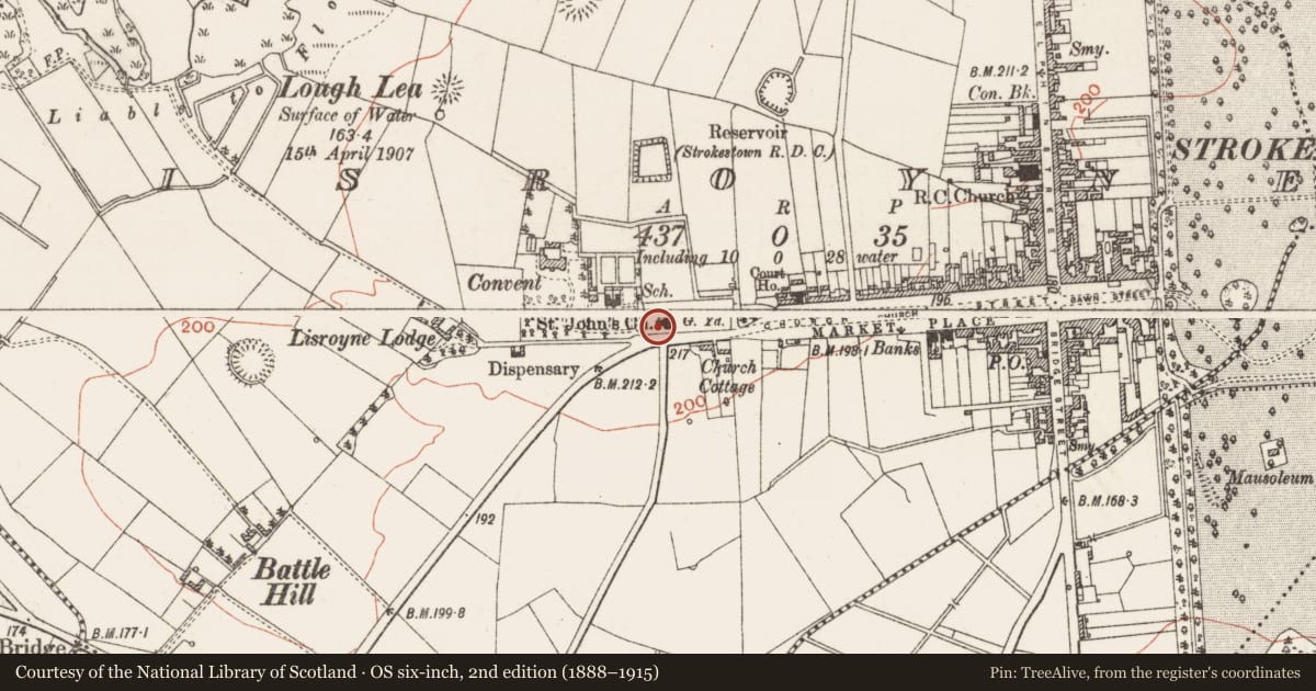Ordnance Survey six-inch map, 2nd edition (1888–1915) covering the location of Architectural fragment, Lisroyne, County Roscommon, with a pin at the register's coordinates