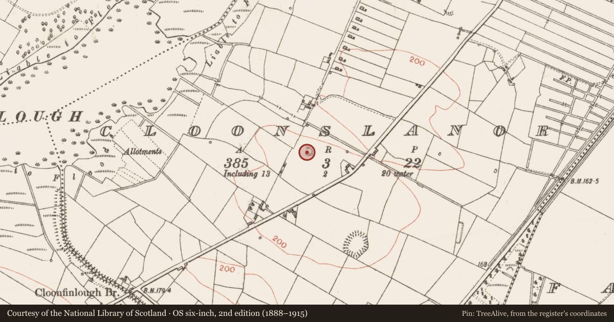 Ordnance Survey six-inch map, 2nd edition (1888–1915) covering the location of Enclosure, Cloonslanor, County Roscommon, with a pin at the register's coordinates