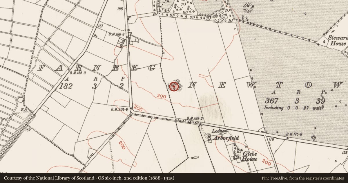 Ordnance Survey six-inch map, 2nd edition (1888–1915) covering the location of Earthwork, Newtown, County Roscommon, with a pin at the register's coordinates
