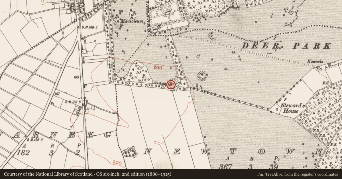 Ordnance Survey six-inch map, 2nd edition (1888–1915) covering the location of Ringfort - rath, Newtown, County Roscommon, with a pin at the register's coordinates