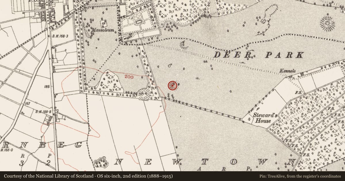 Ordnance Survey six-inch map, 2nd edition (1888–1915) covering the location of Ringfort - rath, Newtown, County Roscommon, with a pin at the register's coordinates