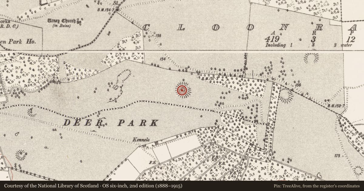 Ordnance Survey six-inch map, 2nd edition (1888–1915) covering the location of Ringfort - rath, Cloonradoon, County Roscommon, with a pin at the register's coordinates