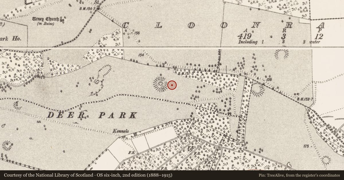 Ordnance Survey six-inch map, 2nd edition (1888–1915) covering the location of Pitfield, Cloonradoon, County Roscommon, with a pin at the register's coordinates
