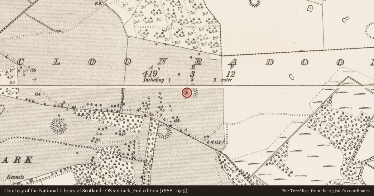 Ordnance Survey six-inch map, 2nd edition (1888–1915) covering the location of Ringfort - rath, Cloonradoon, County Roscommon, with a pin at the register's coordinates