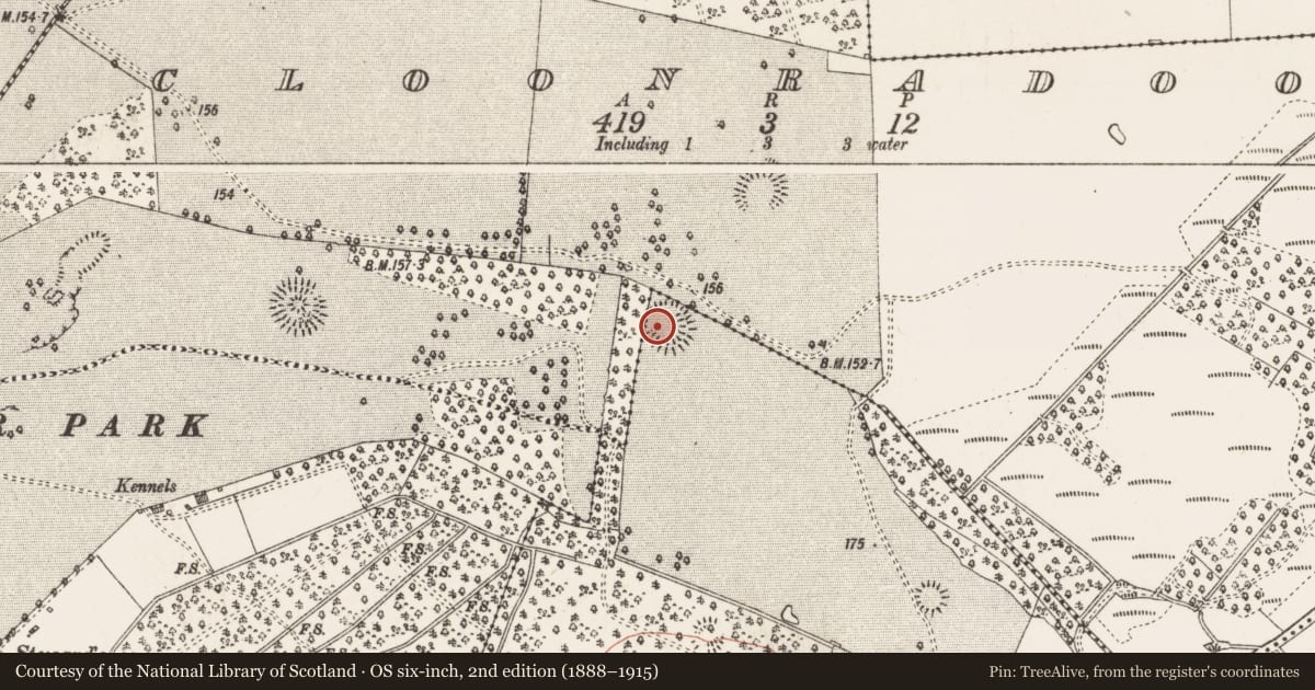 Ordnance Survey six-inch map, 2nd edition (1888–1915) covering the location of Ringfort - rath, Bumlin, County Roscommon, with a pin at the register's coordinates