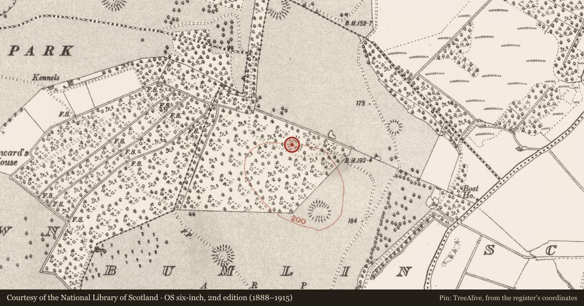 Ordnance Survey six-inch map, 2nd edition (1888–1915) covering the location of Ringfort - rath, Bumlin, County Roscommon, with a pin at the register's coordinates