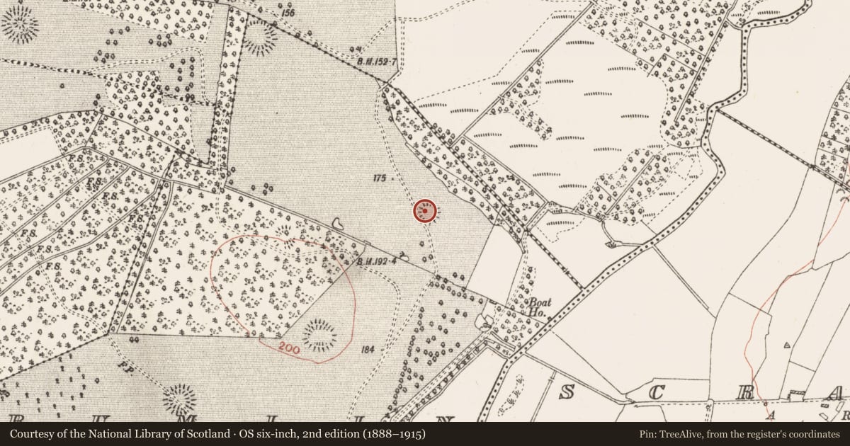Ordnance Survey six-inch map, 2nd edition (1888–1915) covering the location of Ringfort - rath, Bumlin, County Roscommon, with a pin at the register's coordinates
